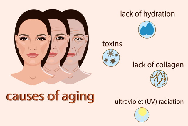 Causes,Of,Aging,,Vector,Illustration,With,Two,Faces,And,Small